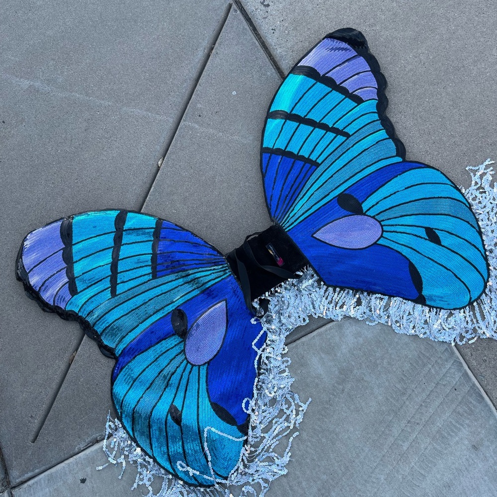 Butterfly wings costume